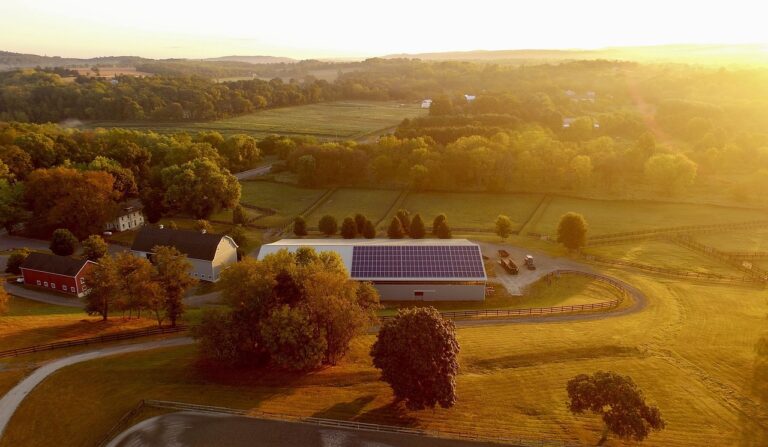 solar farm, solar, energy-4443338.jpg